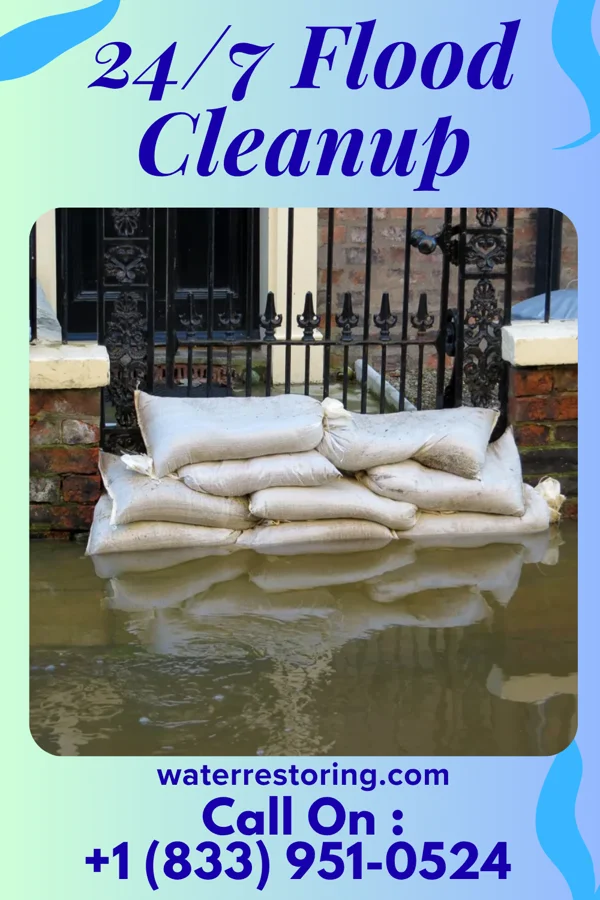 24/7 Flood Cleanup in Custer, MI
