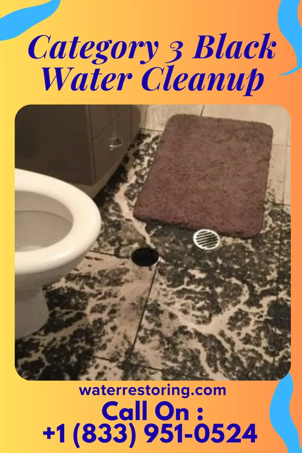 Category 3 Black Water Cleanup in Custer, MI