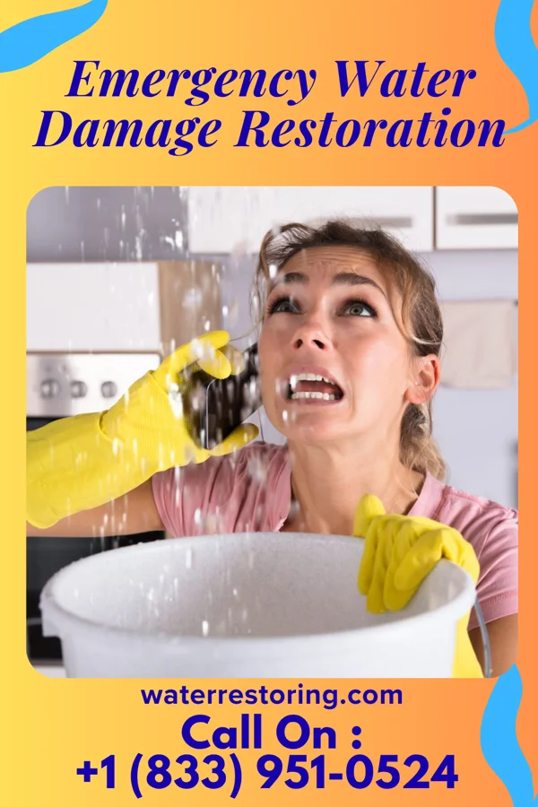 Emergency Water Damage Restoration in Custer, MI