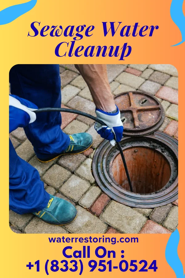 Sewage Water Cleanup in Custer, MI
