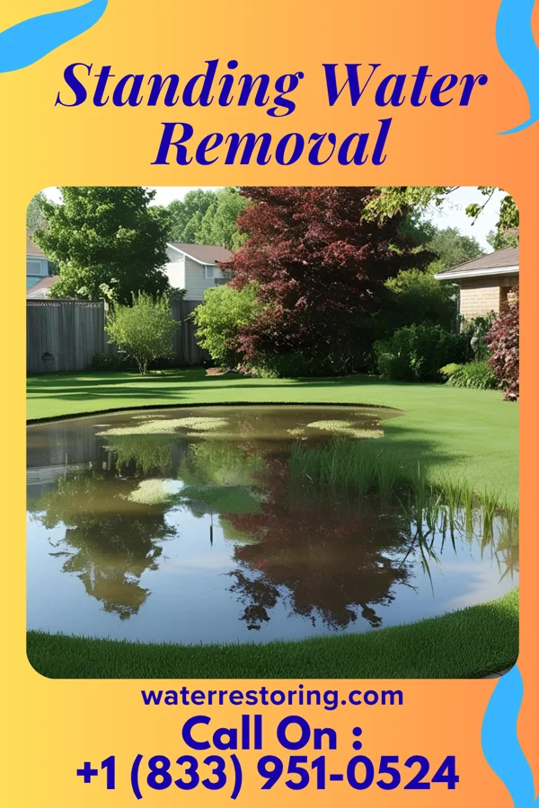 Standing Water Removal in Custer, MI